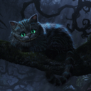 cheshire797-blog avatar