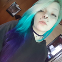 chessirethewolf avatar