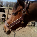 chevalrouge-blog avatar