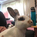 chewchewwinkwink avatar