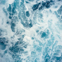 chewingoncoffee avatar