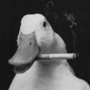 chewingthebluestreak avatar