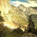 chewybats-art avatar