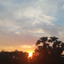 chhaiya-chhaiya avatar