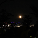 chhhaejoo-lee avatar