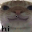 chibi-sunshine avatar