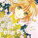 chibiblossomph avatar