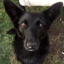 chicadepoesias avatar