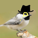 chickadearest avatar