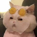 chicken-biryani avatar