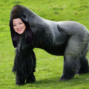 chicken-mcbabe avatar