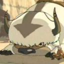 chickenbawkbawk avatar