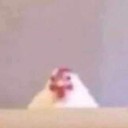 chickenbyday avatar