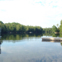 chickendumplingsoup avatar