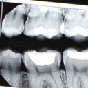 chickennuggerlesschild avatar