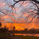 chickennuggetloverrr avatar