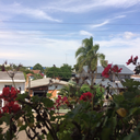 chickenoficial-blog avatar