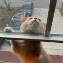 chickenpuzzle avatar