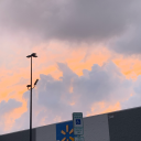 chickensandstardust avatar