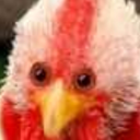 chickensasswrap avatar