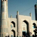 chickenswithhats avatar