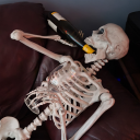 chickeynuggets avatar