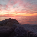 chiefalpacapirate avatar