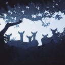 chieffoxtheorist avatar