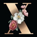 chiefgalaxybear avatar