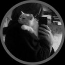 chiefpandafest avatar