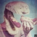 chihuahuawashere avatar