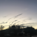 child-of-creation avatar