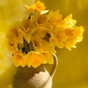 child-of-gods avatar