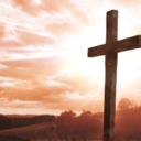 child-of-the-0ne-true-king-blog avatar