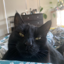 child-ofthe-air avatar