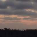 childhood-imagination avatar