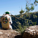 childofamockingbird avatar