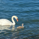 childofjupitersmoons avatar