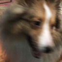 chilibeanblogs avatar