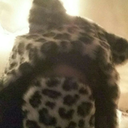 chilledcoolcat avatar