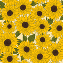 chilledstudyingsunflower-blog avatar