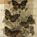 chillinghello avatar