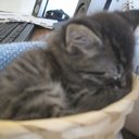 chillknitts-blog avatar