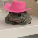 chilllbroswaggins avatar