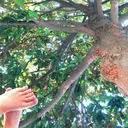 chilometricheciseparano avatar