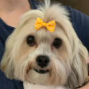 chimamirenoketsuro1994 avatar