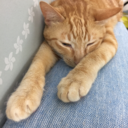 chimera-crafts avatar