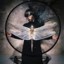 chimerarachnid avatar