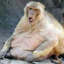 chimericalchild avatar