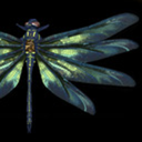 chimericaldragonfly avatar